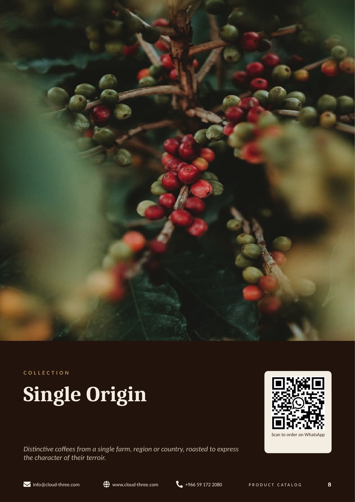 Cloud 3 Coffee — Choosing Your Coffee