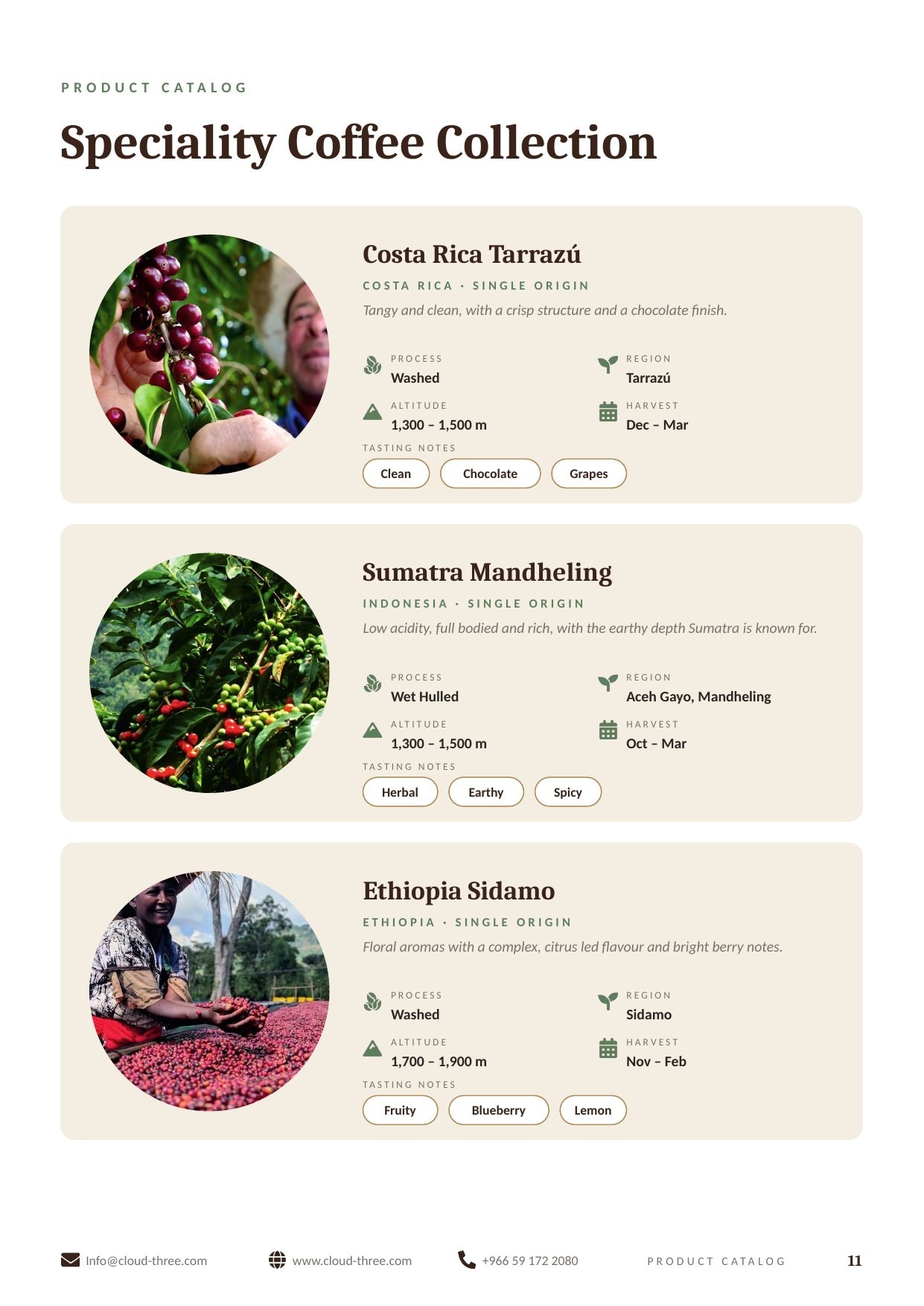 Cloud 3 Coffee — Speciality Coffee Collection