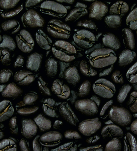 LATIN ROAST