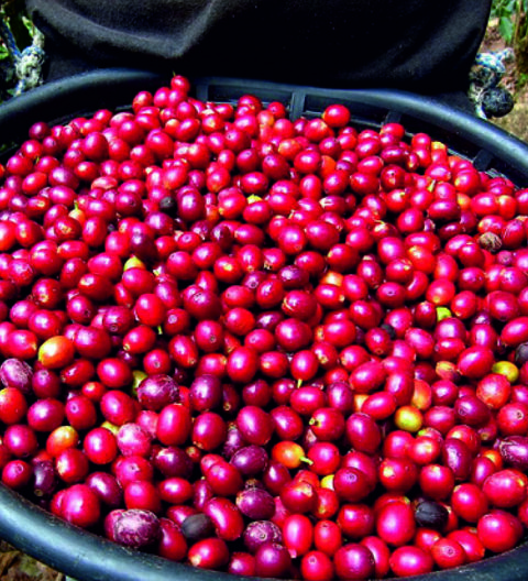 GUATEMALA HUEHUETENANGO