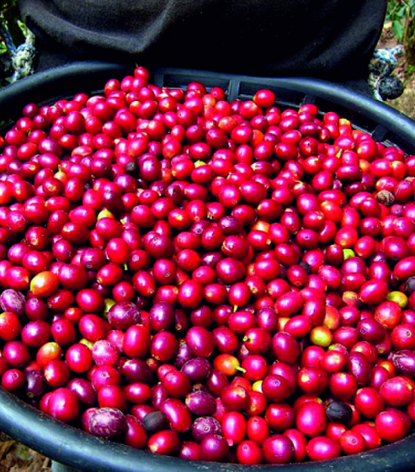 GUATEMALA HUEHUETENANGO
